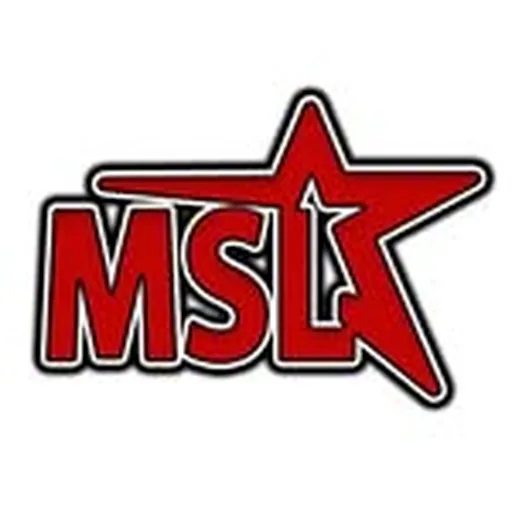@mslmedia_ profile image
