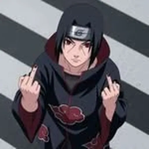 @muccosinsta profile image