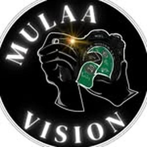 @mulaavision profile image