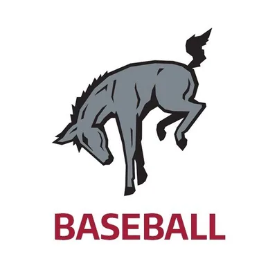 @mulesbsb profile image