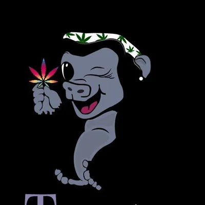 @munchieface_events profile image