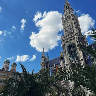 @munichblogger profile image
