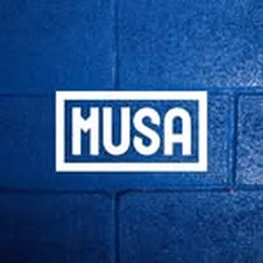 @musadasvirtudes profile image