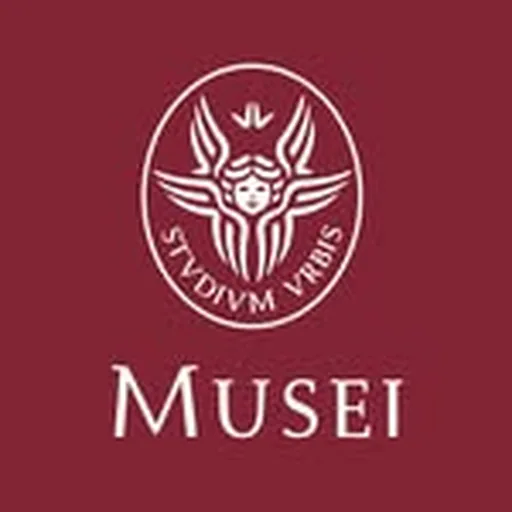 @museisapienza profile image