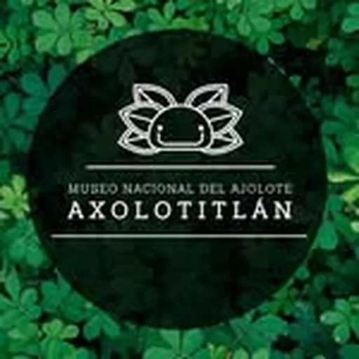 @museodelaxolote profile image