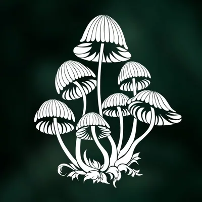 @mushroom___queen profile image