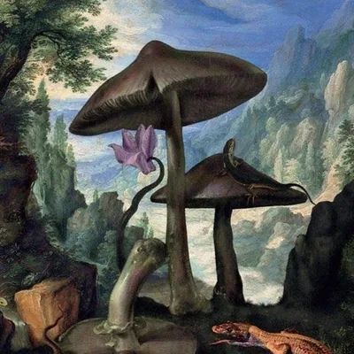 @mushroompeople.co profile image
