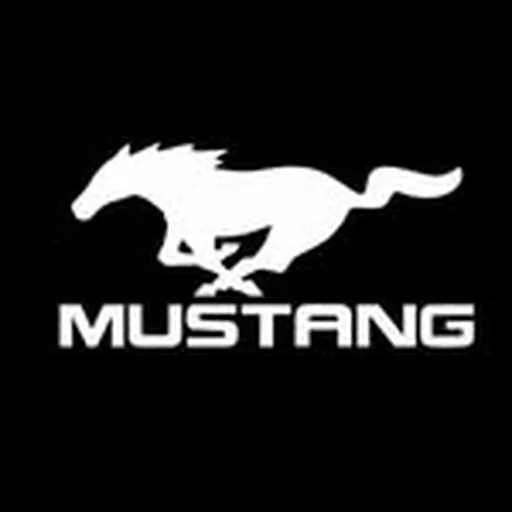 @mustang._ profile image