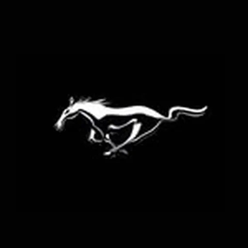 @mustangoffcial profile image