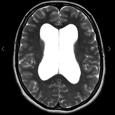 @my.badass.brain profile image