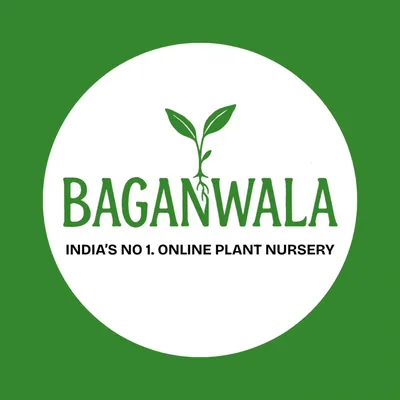 @mybaganwala profile image