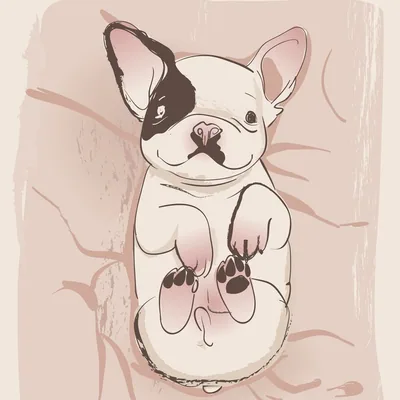 @mycutestfrenchie profile image