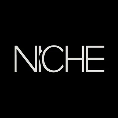 @n____iche profile image
