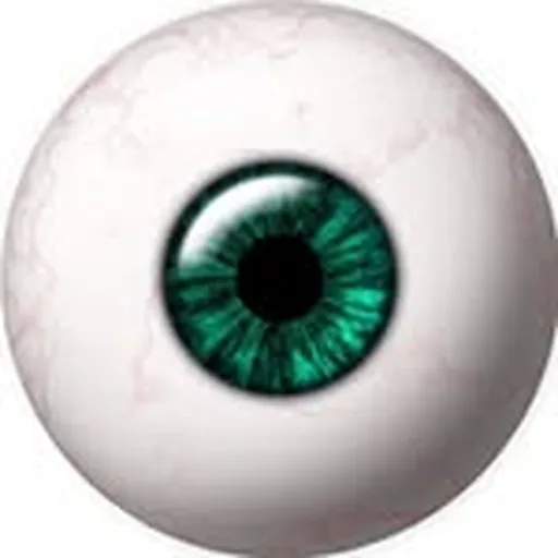 @nadimbrah profile image