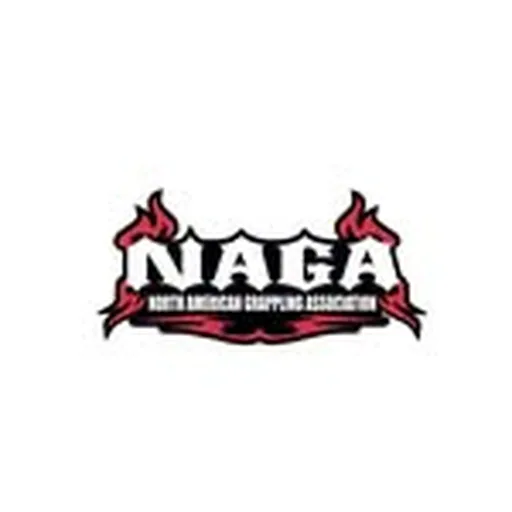 @nagafighter profile image