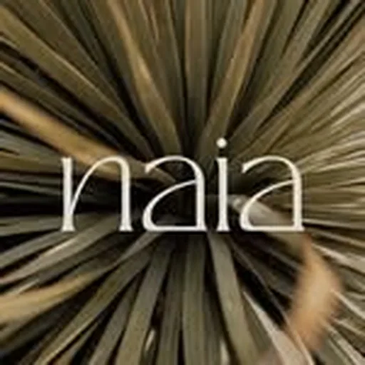 @naiaontheriver profile image
