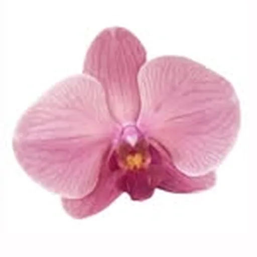 @nailzbydom profile image