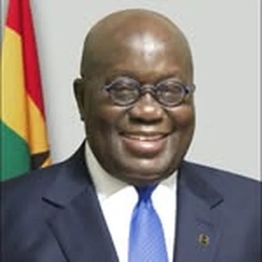 @nakufoaddo profile image