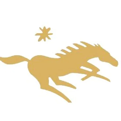 @namibiahorsesafaricompany profile image