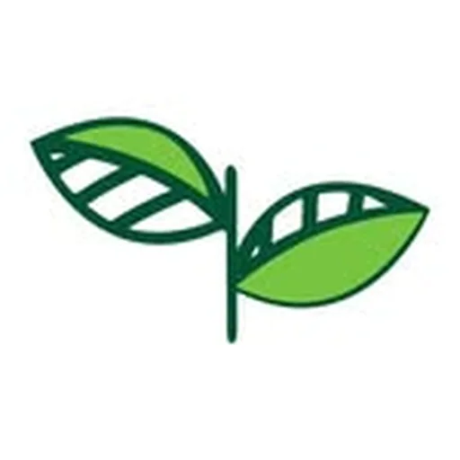 @namumatcha profile image