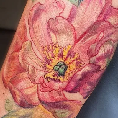 @nancytattooer profile image