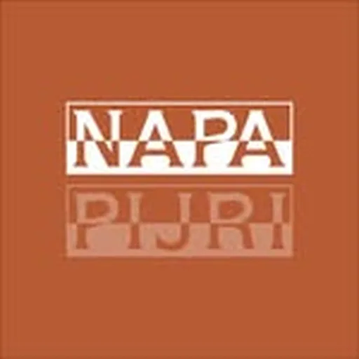 @napapijri profile image