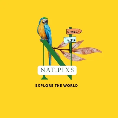 @nat.pixs profile image