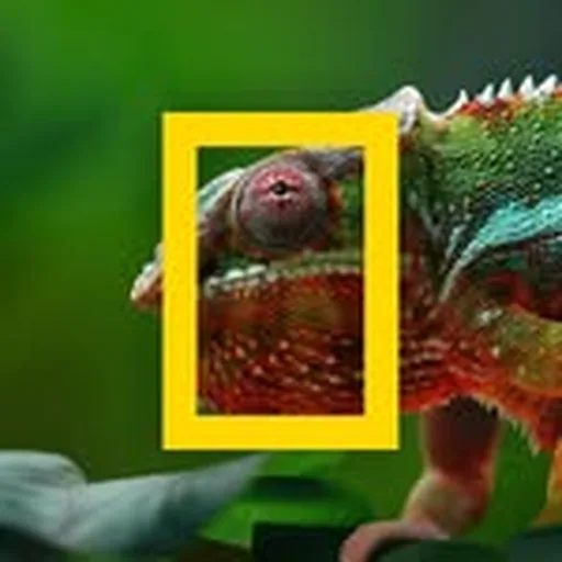 @natgeoau profile image