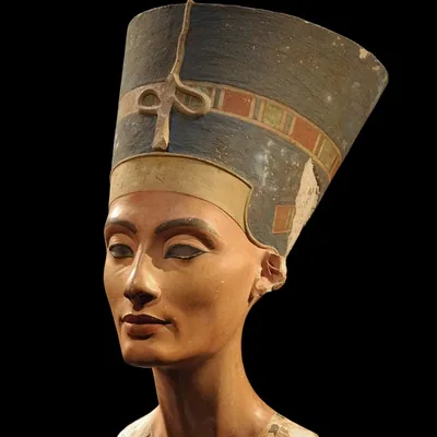 @national.archaeology profile image