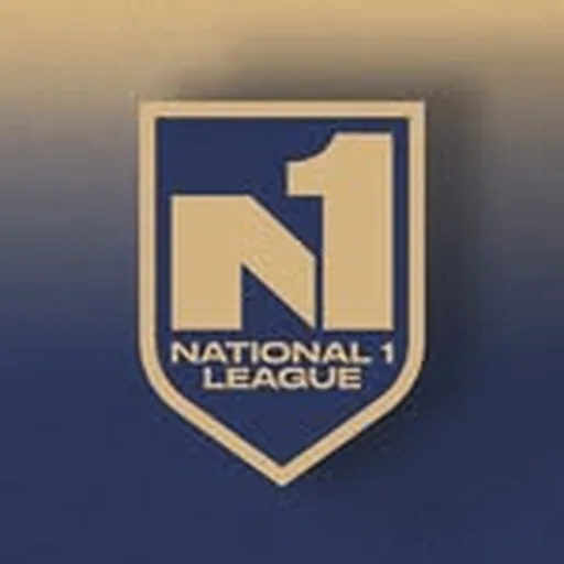 @national1league profile image
