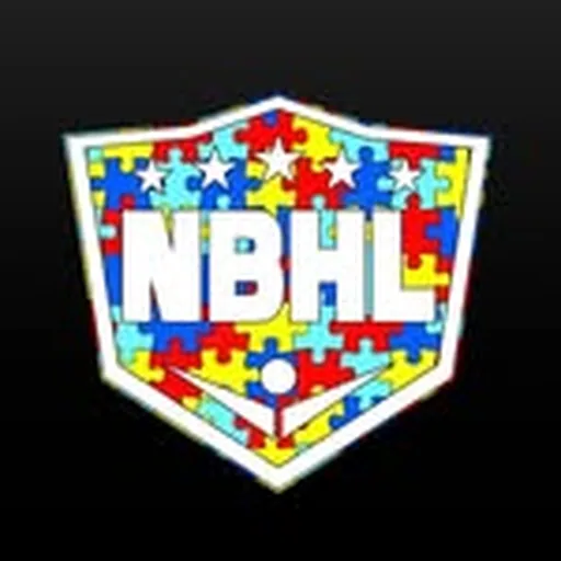 @nationalballhockeyleague profile image