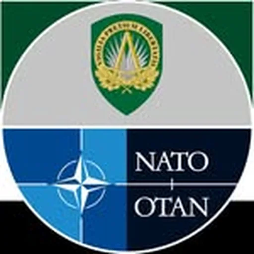 @nato.military profile image