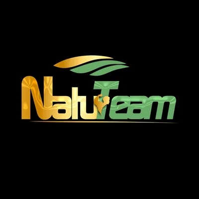@natu_team profile image