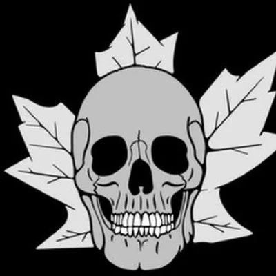 @natural_selections profile image