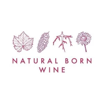 @naturalbornwine profile image