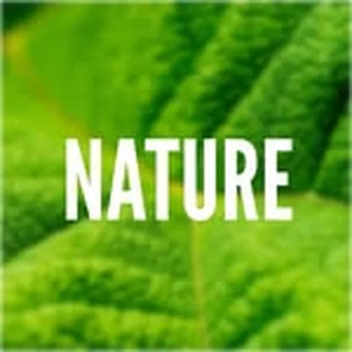 @nature profile image