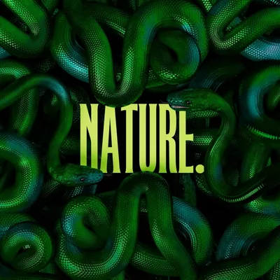 @nature_theartist profile image