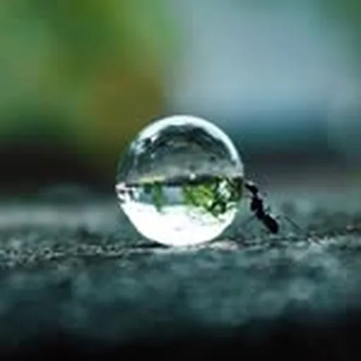 @natureonly profile image