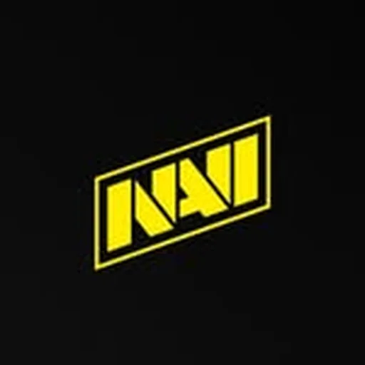 @natus_vincere_lol profile image