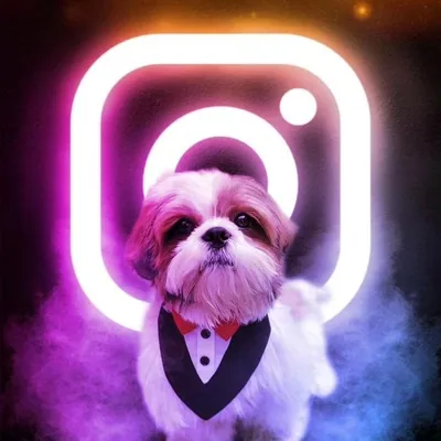 @naughtychikoo profile image