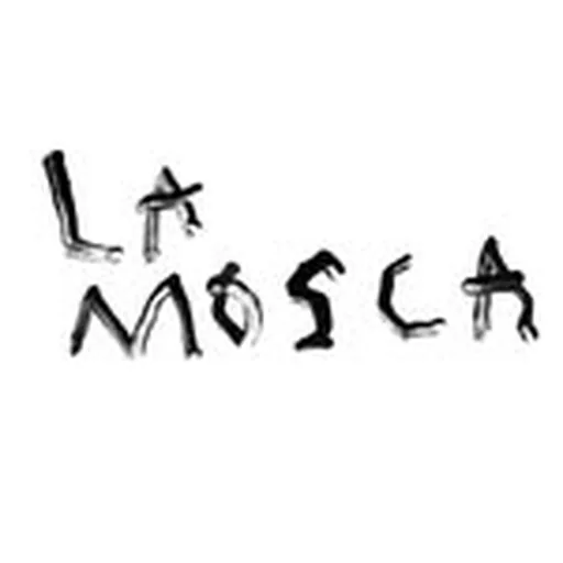 @navelamosca profile image