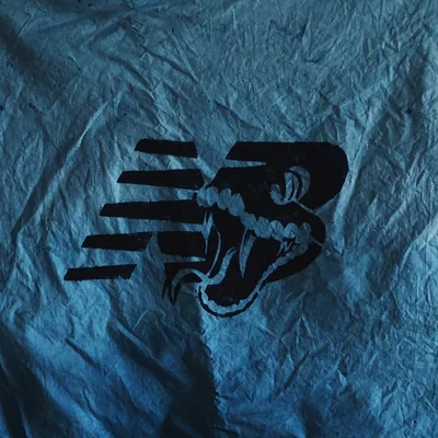 @nb_poisonus_tw profile image