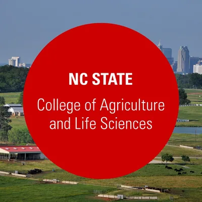 @ncstatecals profile image