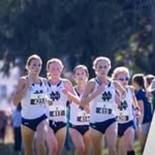 @ndxctf profile image