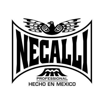 @necalliboxing profile image