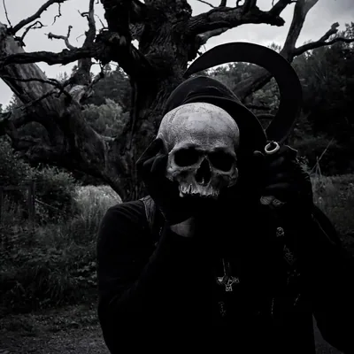 @necroshorns profile image
