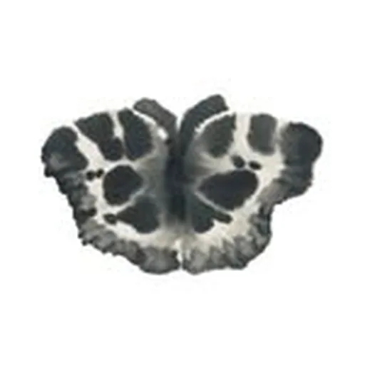 @needles.jp profile image