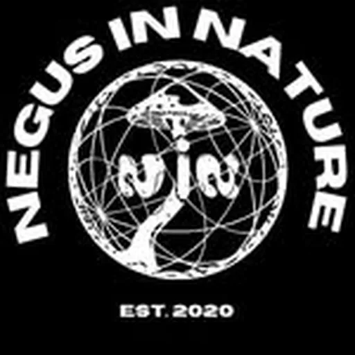 @negusinnature profile image