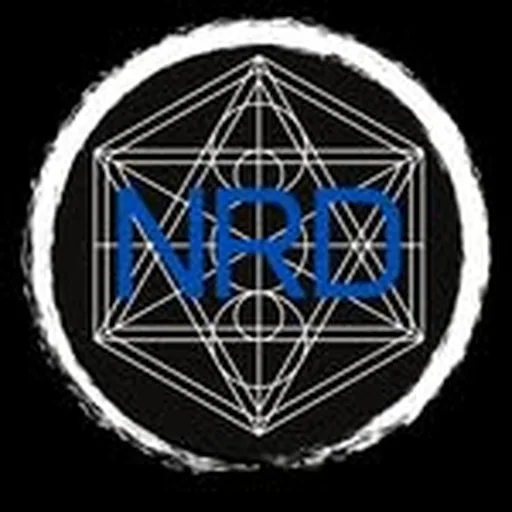 @nelsonracingdesign profile image