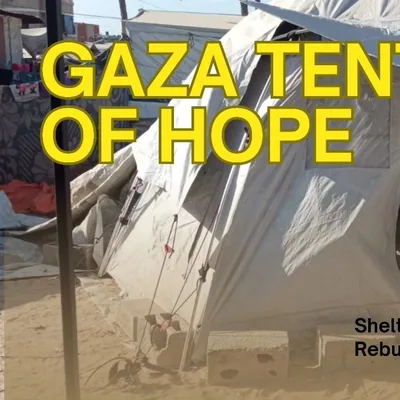 @nessa4palestine profile image